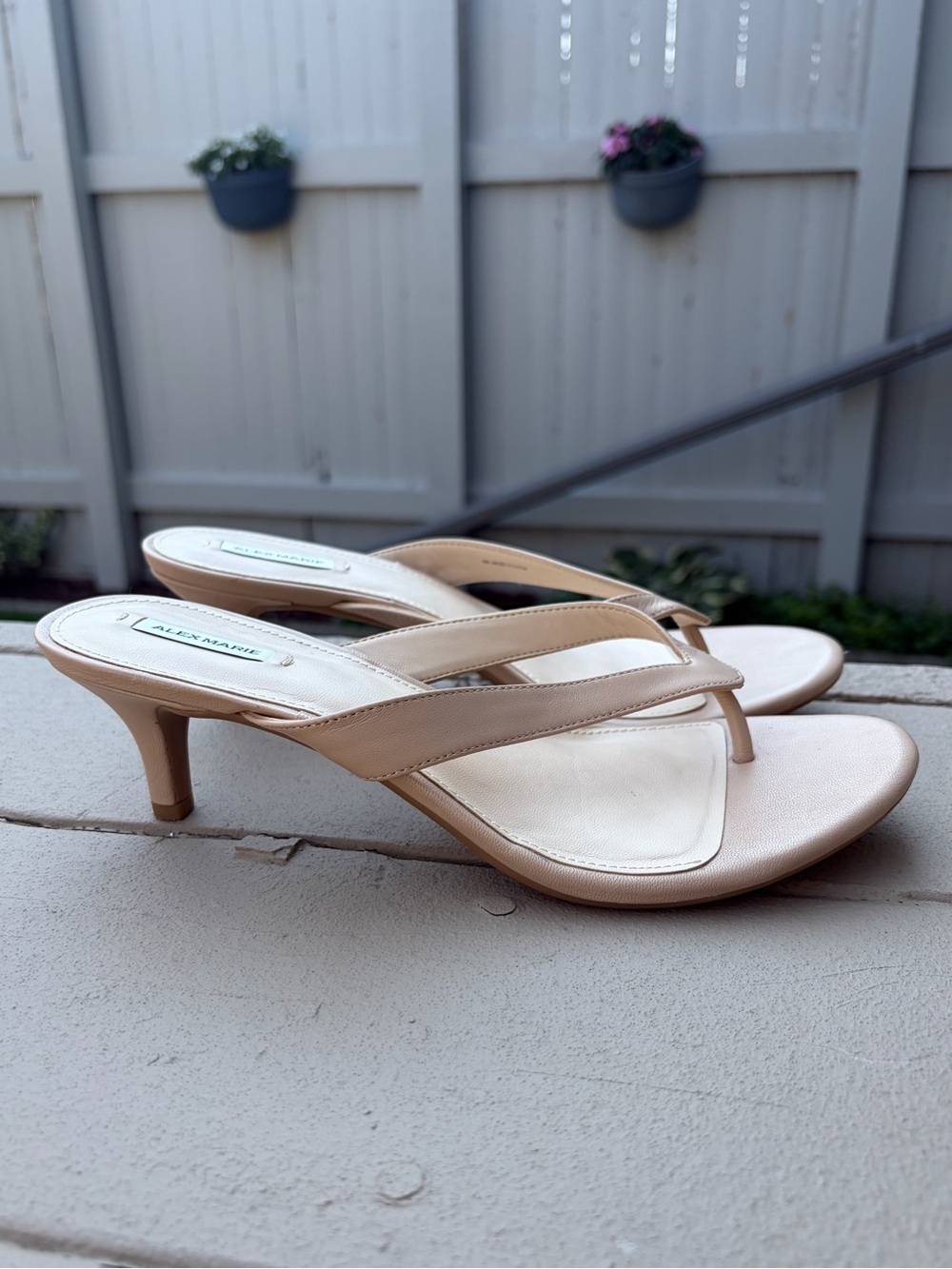 Alex Marie Women's Kitten Heel Thong Sandals in Nude